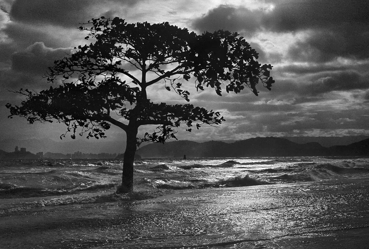 Praia de Santos. São Paulo. 1974