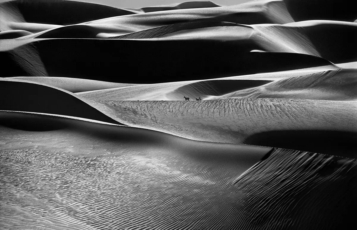 Dunas dos Lençóis Maranhenses. 2008