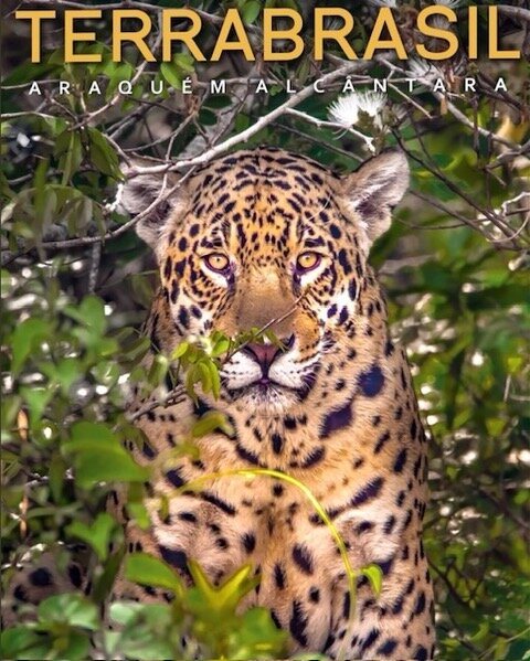Capa do livro TerraBrasil
