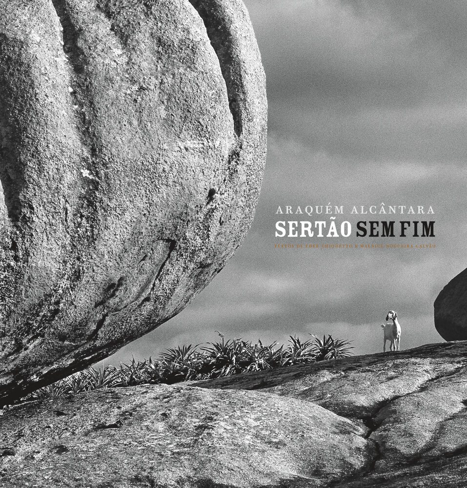 Capa do livro Sertão sem fim